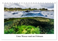 Unter Wasser rund um Fehmarn (Tischkalender 2025 DIN A5 quer), CALVENDO Monatskalender - Calvendo;Sczyrba, Dr.Martin