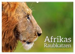 Afrikas Raubkatzen in eindrucksvollen Portraits (Wandkalender 2025 DIN A2 quer), CALVENDO Monatskalender