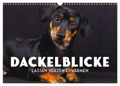 Dackelblicke - Lassen Herzen erwärmen. (Wandkalender 2025 DIN A3 quer), CALVENDO Monatskalender