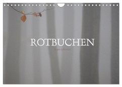 Rotbuchen (Wandkalender 2025 DIN A4 quer), CALVENDO Monatskalender