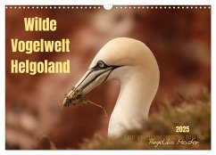 Wilde Vogelwelt Helgoland (Wandkalender 2025 DIN A3 quer), CALVENDO Monatskalender