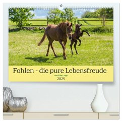 Fohlen - die pure Lebensfreude (hochwertiger Premium Wandkalender 2025 DIN A2 quer), Kunstdruck in Hochglanz - Calvendo;Laage, Elke