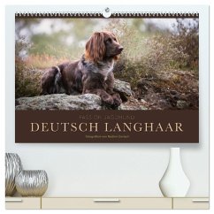Passion Jagdhund - Deutsch Langhaar (hochwertiger Premium Wandkalender 2025 DIN A2 quer), Kunstdruck in Hochglanz
