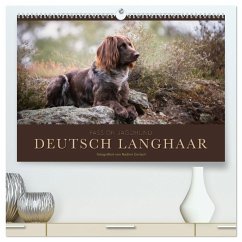 Passion Jagdhund - Deutsch Langhaar (hochwertiger Premium Wandkalender 2025 DIN A2 quer), Kunstdruck in Hochglanz - Calvendo;Gerlach, Nadine