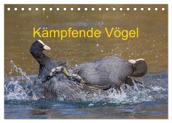 Kämpfende Vögel (Tischkalender 2025 DIN A5 quer), CALVENDO Monatskalender - Calvendo;Martin (GDT), Wilfried