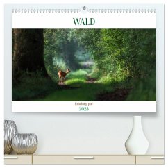 WALD Erholung pur (hochwertiger Premium Wandkalender 2025 DIN A2 quer), Kunstdruck in Hochglanz