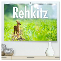 Rehkitz - Flinke kleine Bambis. (hochwertiger Premium Wandkalender 2025 DIN A2 quer), Kunstdruck in Hochglanz