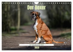 Der Boxer, der beste Hund der Welt (Wandkalender 2025 DIN A4 quer), CALVENDO Monatskalender