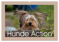 Hunde Action (Wandkalender 2025 DIN A2 quer), CALVENDO Monatskalender