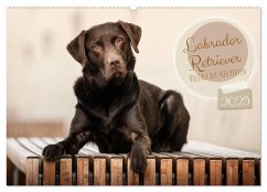 Labrador Retriever - Vielfalt auf Vier Pfoten (Wandkalender 2025 DIN A2 quer), CALVENDO Monatskalender