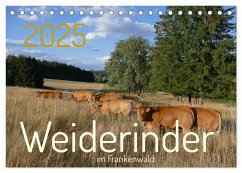 Weiderinder im Frankenwald (Tischkalender 2025 DIN A5 quer), CALVENDO Monatskalender