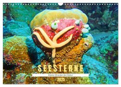 Seesterne - Kleine Wunder der Natur (Wandkalender 2025 DIN A3 quer), CALVENDO Monatskalender