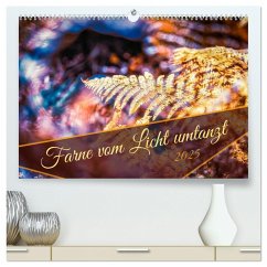 Farne vom Licht umtanzt (hochwertiger Premium Wandkalender 2025 DIN A2 quer), Kunstdruck in Hochglanz