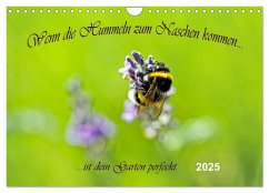 Wenn die Hummeln zum naschen kommen, ist dein Garten perfekt (Wandkalender 2025 DIN A4 quer), CALVENDO Monatskalender