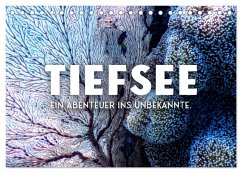 Tiefsee - Ein Abenteuer ins Unbekannte. (Tischkalender 2025 DIN A5 quer), CALVENDO Monatskalender