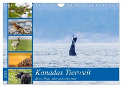 Kanadas Tierwelt - Bären, Wale und vieles mehr (Wandkalender 2025 DIN A4 quer), CALVENDO Monatskalender