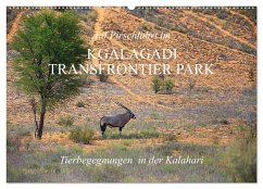 Auf Pirschfahrt im Kgalagadi Transfrontier Park (Wandkalender 2025 DIN A2 quer), CALVENDO Monatskalender