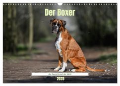 Der Boxer, der beste Hund der Welt (Wandkalender 2025 DIN A3 quer), CALVENDO Monatskalender - Calvendo;Janetzek, Yvonne