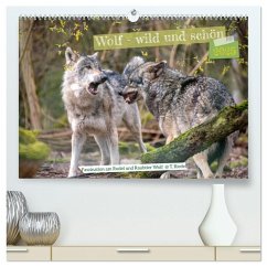 Wolf - wild und schön (hochwertiger Premium Wandkalender 2025 DIN A2 quer), Kunstdruck in Hochglanz - Calvendo;Riedel, Tanja