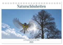 Naturschönheiten im Biosphärerenreservat Rhön (Tischkalender 2025 DIN A5 quer), CALVENDO Monatskalender - Calvendo;Hempe, Manfred