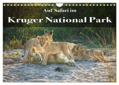 Auf Safari im Kruger National Park (Wandkalender 2025 DIN A4 quer), CALVENDO Monatskalender