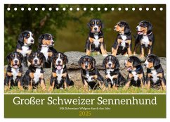 Großer Schweizer Sennenhund - Mit Schweizer Welpen durch das Jahr (Tischkalender 2025 DIN A5 quer), CALVENDO Monatskalender