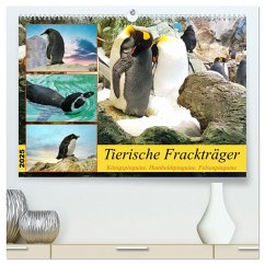 Tierische Frackträger (hochwertiger Premium Wandkalender 2025 DIN A2 quer), Kunstdruck in Hochglanz - Calvendo;Kleemann, Claudia