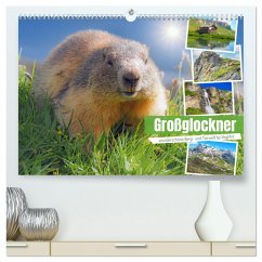 Großglockner wunderschöne Berg- und Tierwelt (hochwertiger Premium Wandkalender 2025 DIN A2 quer), Kunstdruck in Hochglanz - Calvendo;VogtArt