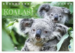 Koalas: die flauschigen Herzensbrecher (Tischkalender 2025 DIN A5 quer), CALVENDO Monatskalender - Calvendo