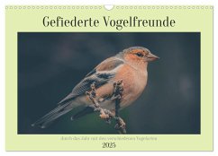 Gefiederte Vogelfreunde (Wandkalender 2025 DIN A3 quer), CALVENDO Monatskalender
