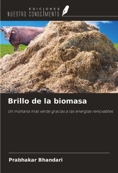 Cover Brillo de la biomasa