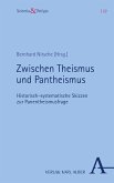 Zwischen Theismus und Pantheismus (eBook, PDF)