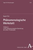 Phänomenologische Werkstatt (eBook, PDF)