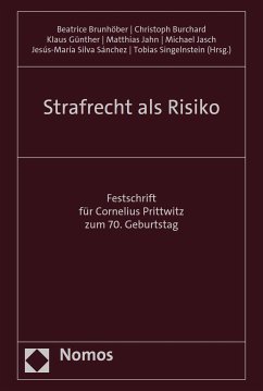 Strafrecht als Risiko (eBook, PDF)