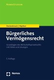 Bürgerliches Vermögensrecht (eBook, PDF)