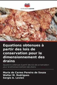 Equations obtenues à partir des lois de conservation pour le dimensionnement des drains - Pereira de Souza, Maria do Carmo;M. Rodrigues, Walter;A. Levien, Sérgio