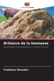 Brillance de la biomasse