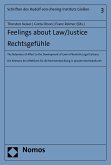 Feelings about Law/Justice. Rechtsgefühle (eBook, PDF)