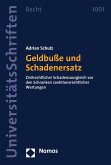 Geldbuße und Schadenersatz (eBook, PDF)