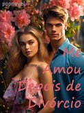 Me Amou Depois de Divórcio (eBook, ePUB)