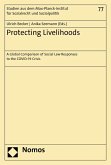 Protecting Livelihoods (eBook, PDF)