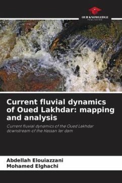 Current fluvial dynamics of Oued Lakhdar: mapping and analysis - Elouiazzani, Abdellah;Elghachi, Mohamed