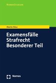 Examensfälle Strafrecht Besonderer Teil (eBook, PDF)