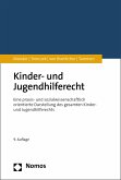 Kinder- und Jugendhilferecht (eBook, PDF)