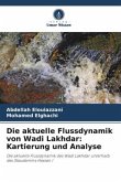 Die aktuelle Flussdynamik von Wadi Lakhdar: Kartierung und Analyse