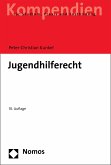 Jugendhilferecht (eBook, PDF)