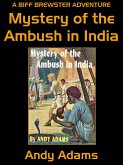 Mystery of the Ambush in India (eBook, ePUB)