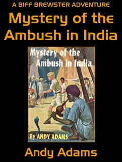 Mystery of the Ambush in India (eBook, ePUB) - Adams, Andy