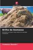 Brilho da biomassa