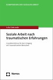Soziale Arbeit nach traumatischen Erfahrungen (eBook, PDF)